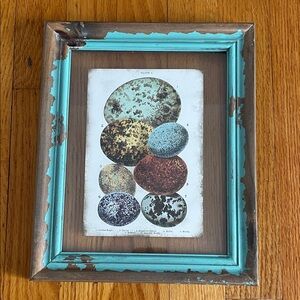 “Vintage” Look Egg Study